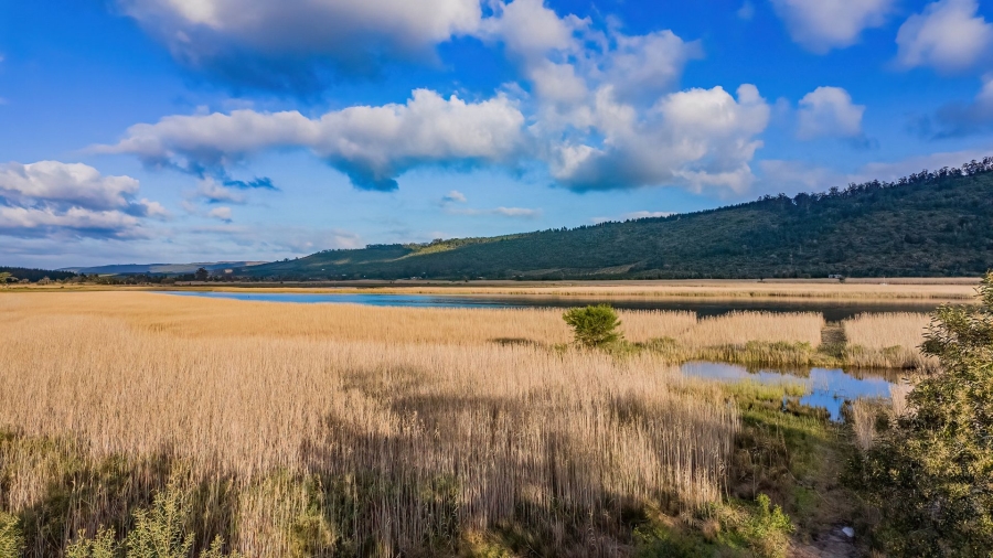Commercial Property for Sale in Sedgefield Rural Western Cape